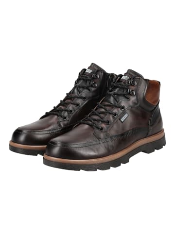 Pikolinos Stiefelette VIGO M3M in Dunkelbraun