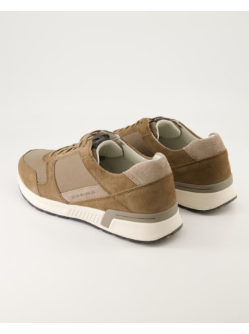 Pius Gabor Sneaker low in Beige