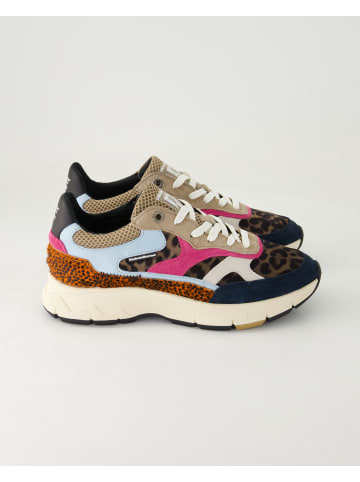 Floris van Bommel Sneaker low