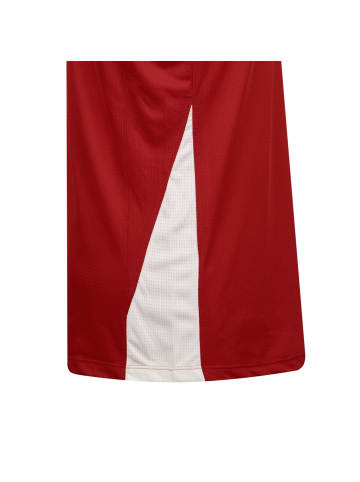 Nike Performance Basketballtrikot Team Basketball Reversible in rot / weiß
