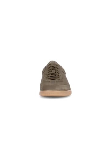 Pius Gabor Sneaker für Herren in olive
