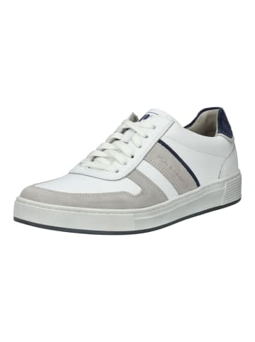 Pius Gabor Sneaker in Weiß