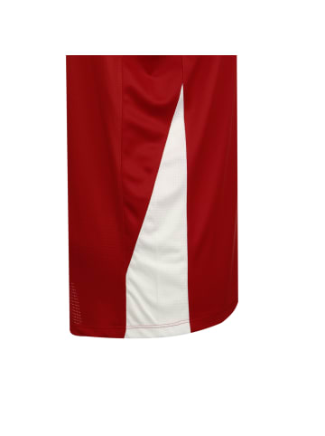 Nike Performance Basketballtrikot Team Stock 20 in rot / weiß