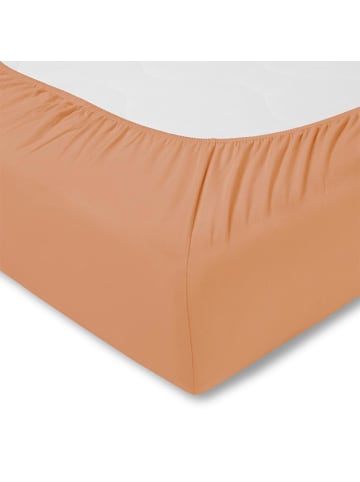 Estella Spannbettlaken in apricot