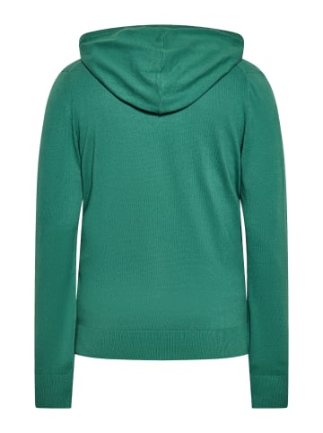 MO Herren Kapuzenjacke in GRÜN