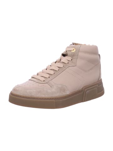 Paul Green Schnürschuh in Beige