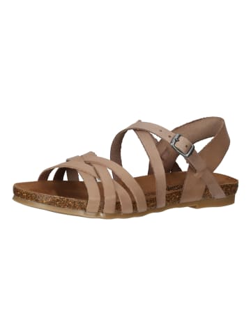 Cosmos Comfort Sandalen in Taupe