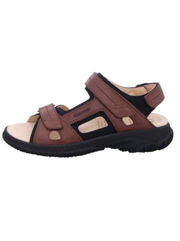 Ganter Sportliche Sandalen für Herren in braun