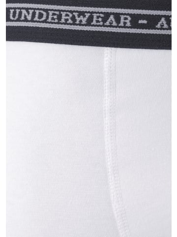 AUTHENTIC LE JOGGER Boxer in grau-meliert, schwarz, weiß, grau