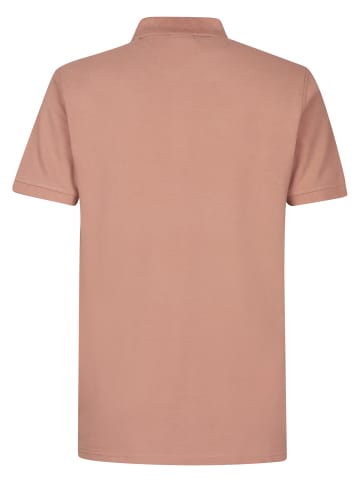 Petrol Industries Klassisches Poloshirt Dolphin in Braun