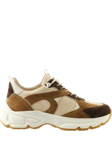 Högl Sneaker in braun