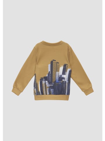 s.Oliver Sweatshirt in 18D1_senf