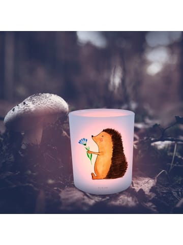 Mr. & Mrs. Panda Glas Kerzenhalter Igel Blumen ohne Spruch in Transparent