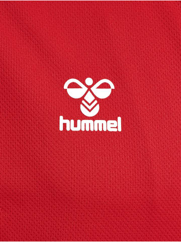 Hummel Hummel Zip Jacke Hmlauthentic Multisport Herren Atmungsaktiv Feuchtigkeitsabsorbierenden in TRUE RED