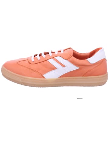 Andrea Conti Sneaker Low in rot