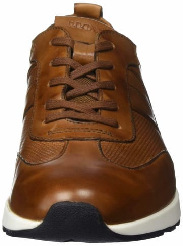 LLOYD Sneaker für Herren in braun