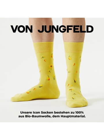von Jungfeld Gemusterte Socken Icons Socken-Set in Wilderness