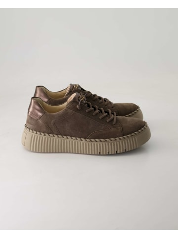 Gabor Slip On Sneaker in Braun