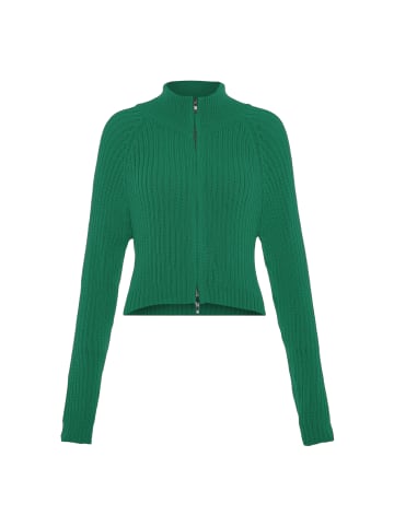Libbi Damen Sweater in GRÜN