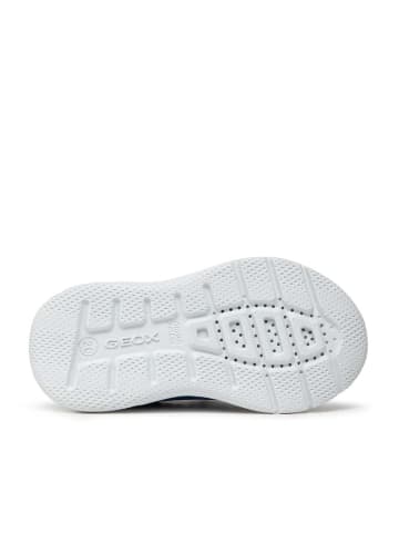 Geox Boy - in Royal/Navy