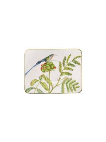 Villeroy & Boch Kaffeeuntertasse Amazonia in 17 x 14 cm in bunt