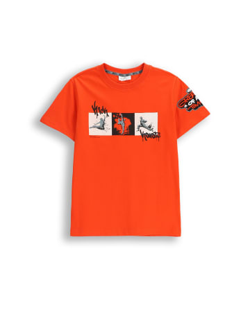 Coccodrillo Baumwoll-T-Shirt mit kurzen Ärmeln in rot