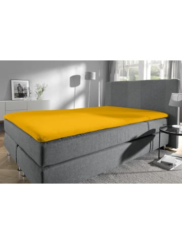 REDBEST Single-Jersey Topper-Spannbettlaken Denver in gelb