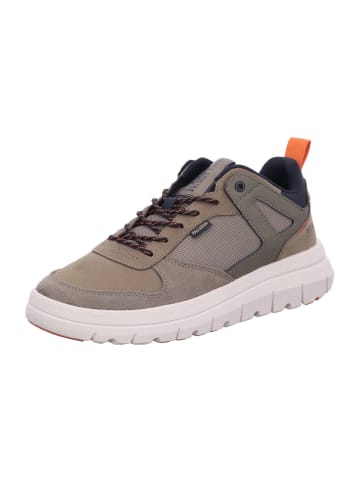 Palladium Sneaker in beige