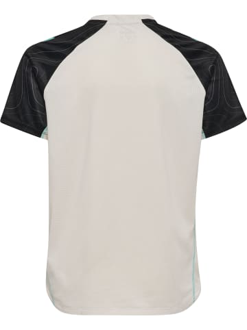 Hummel T-Shirt Hmlblaze Kinder in VAPOROUS GRAY/POOL BLUE