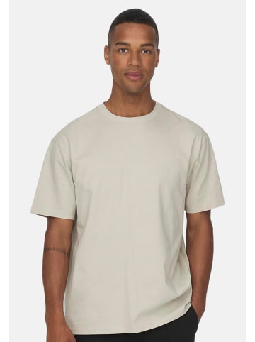 ONLY & SONS T-Shirt Onsfred in Silver lining