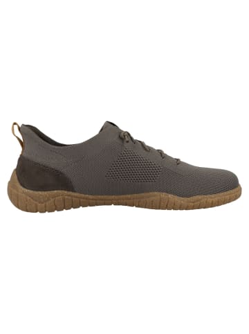 Josef Seibel Sneaker low Wallace 05 in dunkelgrau