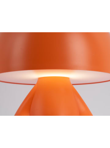 Leitmotiv Nachtlicht in orange