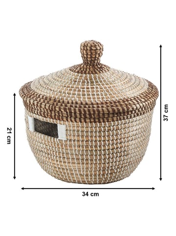 kobolo Aufbewahrungskorb PYTHON in Beige