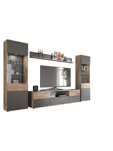 xonox.home Wohnkombination  (B/H/T: 338x200x47 cm) in Nox Oak Nachbildung und Basalt grau