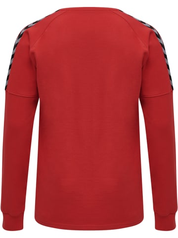 Hummel Hummel Sweatshirt Hmlauthentic Multisport Herren in TRUE RED