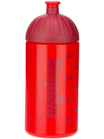 Ergobag Schulranzen ergobag Trinkflasche in Küss den Bär