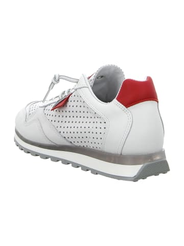 Cetti Sportliche Schnürschuhe in Weiß