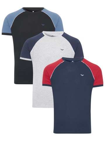 Threadbare T-Shirt Tee Pipping Raglan in Multi