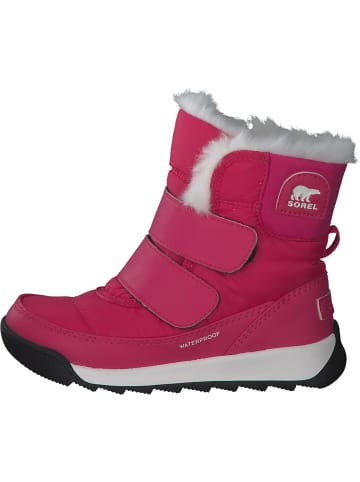 Sorel Stiefel in cactus pink  black