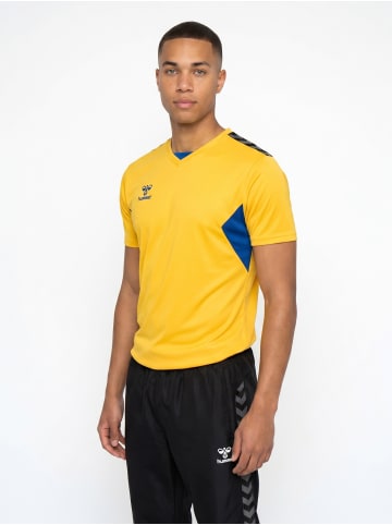 Hummel T-Shirt Hmlauthentic Herren in SPORTS YELLOW/TRUE BLUE