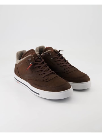 LLOYD Sneaker high in Braun