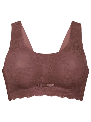 Anita Bralette Essentials Lace in berry