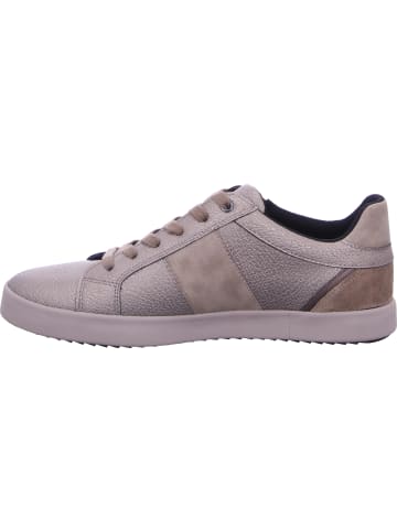 Geox Schnürhalbschuh in grau
