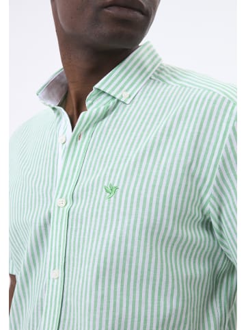 Felix Hardy Hemd Kurzarm Gestreift in Grün