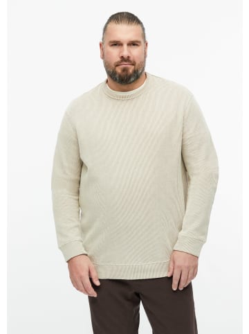 s.Oliver Sweatshirt in 93G3_beige