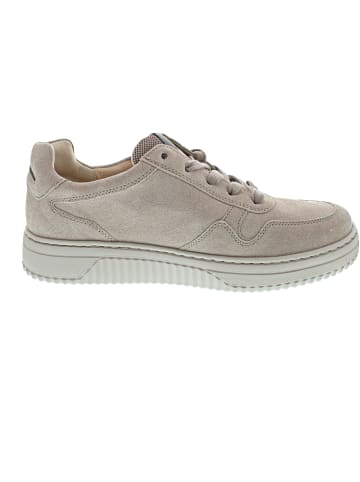 Gabor Comfort Sneaker Beige