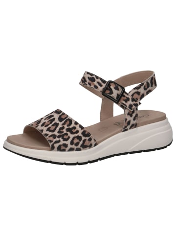 Caprice Sandale in LEO