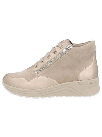 Solidus Stiefeletten/Boot in braun