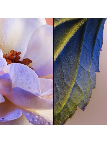 Guerlain Eau de Parfum Les Legendaires Idylle 75 ml
