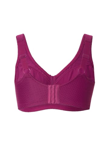 Ulla Popken Entlastungs-BH in fuchsia pink